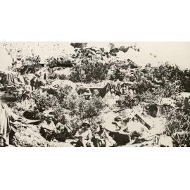 Photo from page 29 of album WWI Photograph Album- Egypt, Gallipoli and Western Front