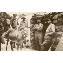 Photo from page 33 of album WWI Photograph Album- Egypt, Gallipoli and Western Front