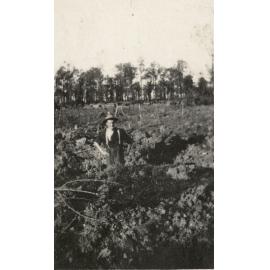 Photo from page 35 of album WWI Photograph Album- Egypt, Gallipoli and Western Front