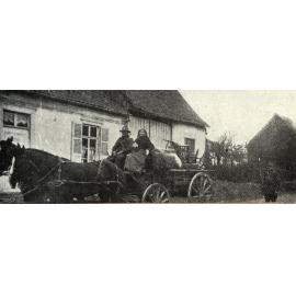 Photo from page 44 of album WWI Photograph Album- Egypt, Gallipoli and Western Front