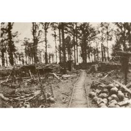 Photo from page 58 of album WWI Photograph Album- Egypt, Gallipoli and Western Front