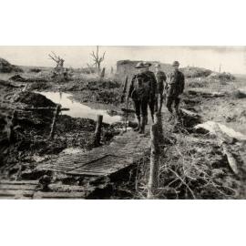 Photo from page 59 of album WWI Photograph Album- Egypt, Gallipoli and Western Front
