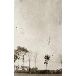 Photo from page 61 of album WWI Photograph Album- Egypt, Gallipoli and Western Front
