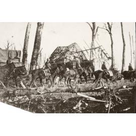 Photo from page 62 of album WWI Photograph Album- Egypt, Gallipoli and Western Front
