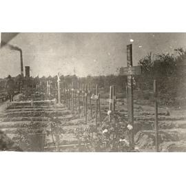 Photo from page 62 of album WWI Photograph Album- Egypt, Gallipoli and Western Front