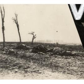 Photo from page 63 of album WWI Photograph Album- Egypt, Gallipoli and Western Front