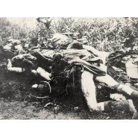 Photo from page 64 of album WWI Photograph Album- Egypt, Gallipoli and Western Front