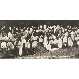 Photo from page 75 of album WWI Photograph Album- Egypt, Gallipoli and Western Front