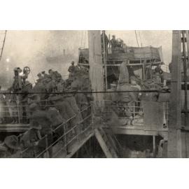 Photo from page 77 of album WWI Photograph Album- Egypt, Gallipoli and Western Front