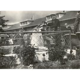 Photo from page 87 of album WWI Photograph Album- Egypt, Gallipoli and Western Front