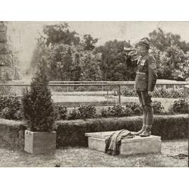 Photo from page 88 of album WWI Photograph Album- Egypt, Gallipoli and Western Front