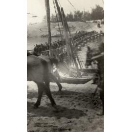 Photo from page 06 of album WWI Photograph Albums- Egypt and Gallipoli.