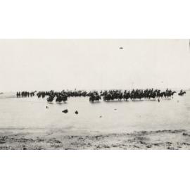 Photo from page 21 of album WWI Photograph Albums- Egypt and Gallipoli.