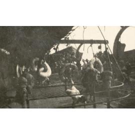 Photo from page 04 of album WWI Photograph Albums - Egypt & Gallipoli.