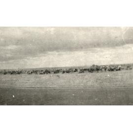 Photo from page 06 of album WWI Photograph Albums - Egypt & Gallipoli.