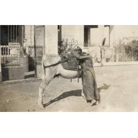 Photo from page 11 of album WWI Photograph Albums - Egypt & Gallipoli.