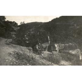 Photo from page 12 of album WWI Photograph Albums - Egypt & Gallipoli.