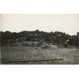 Photo from page 12 of album WWI Photograph Albums - Egypt & Gallipoli.