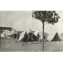 Photo from page 14 of album WWI Photograph Albums - Egypt & Gallipoli.