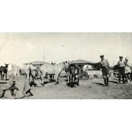 Photo from page 04 of album WWI Photograph Albums - Egypt and Gallipoli.