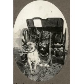 Photo from page 10 of album WWI Photograph Albums - Egypt and Gallipoli.