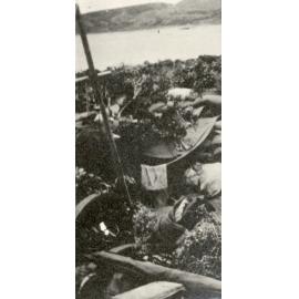 Photo from page 11 of album WWI Photograph Albums - Egypt and Gallipoli.