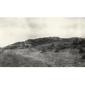 Photo from page 08 of album WWI Photograph Album- Egypt, Gallipoli & Sinai and Palestine.