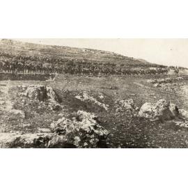 Photo from page 09 of album WWI Photograph Album- Egypt, Gallipoli & Sinai and Palestine.