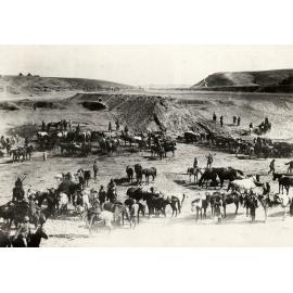 Photo from page 10 of album WWI Photograph Album- Egypt, Gallipoli & Sinai and Palestine.