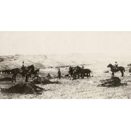Photo from page 13 of album WWI Photograph Album- Egypt, Gallipoli & Sinai and Palestine.