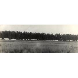 Photo from page 19 of album WWI Photograph Album- Egypt, Gallipoli & Sinai and Palestine.