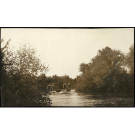 WWI Photograph Album- Egypt, Gallipoli & Sinai and Palestine. [loose photo]