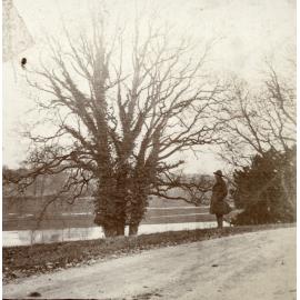 Photo from page 05 of album WWI Photograph Albums- Egypt and Western Front.