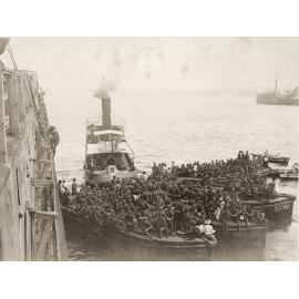 Photo from page 07 of album WWI Photograph Albums- Egypt and Western Front.