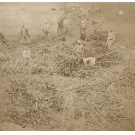 Photo from page 04 of album WW1 Photograph Album of Harry Jenkin