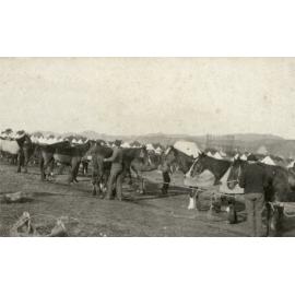 Photo from page 04 of album WWI Photograph Albums- Egypt.