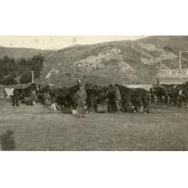 Photo from page 04 of album WWI Photograph Albums- Egypt.