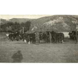 Photo from page 04 of album WWI Photograph Albums- Egypt.