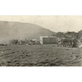 Photo from page 05 of album WWI Photograph Albums- Egypt.