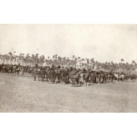 Photo from page 03 of album WWI Photograph Albums- Egypt and Palestine.