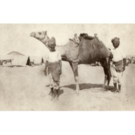 Photo from page 06 of album WWI Photograph Albums- Egypt and Palestine.