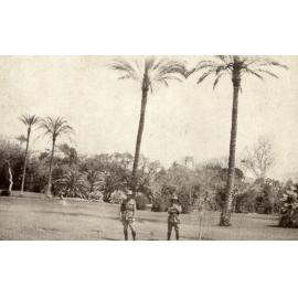 Photo from page 07 of album WWI Photograph Albums- Egypt and Palestine.