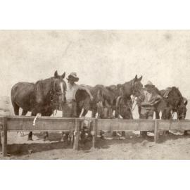 Photo from page 12 of album WWI Photograph Albums- Egypt and Palestine.