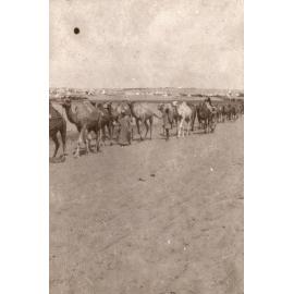 Photo from page 14 of album WWI Photograph Albums- Egypt and Palestine.
