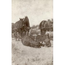 Photo from page 14 of album WWI Photograph Albums- Egypt and Palestine.