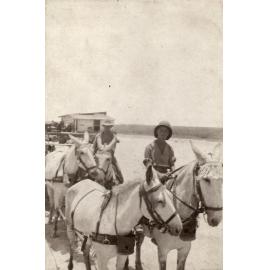 Photo from page 14 of album WWI Photograph Albums- Egypt and Palestine.