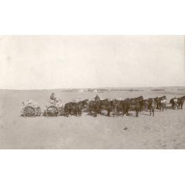 Photo from page 16 of album WWI Photograph Albums- Egypt and Palestine.