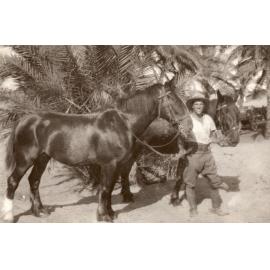 Photo from page 18 of album WWI Photograph Albums- Egypt and Palestine.