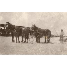 Photo from page 18 of album WWI Photograph Albums- Egypt and Palestine.