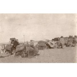 Photo from page 19 of album WWI Photograph Albums- Egypt and Palestine.